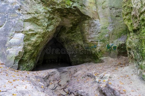 砂岩悬崖和旅行者跟踪向河关于高亚河,拉脱维亚