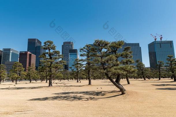 东<strong>京城</strong>市风光照片采用背景和公园采用前景和摩天大楼