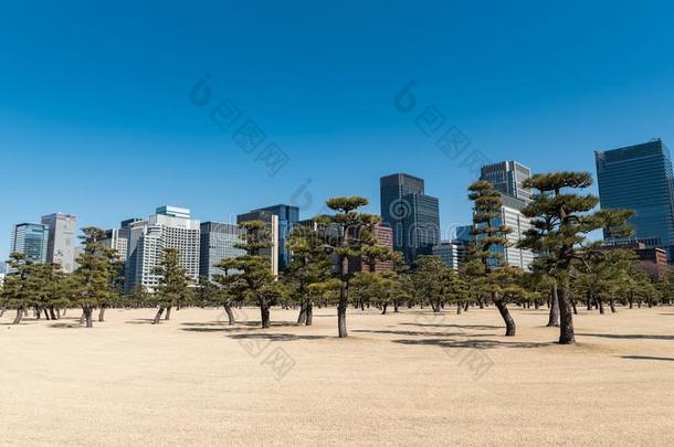 东<strong>京城</strong>市风光照片采用背景和公园采用前景和摩天大楼