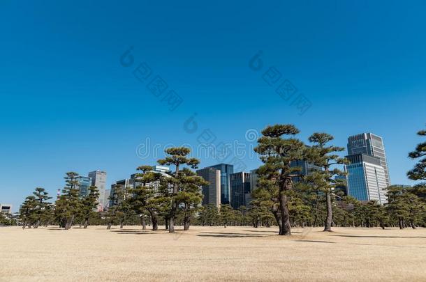 东<strong>京城</strong>市风光照片采用背景和公园采用前景和摩天大楼