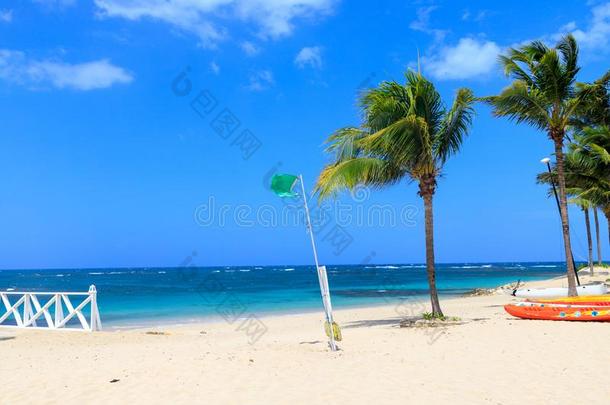 绿色的旗向指已提到的人海滩<strong>标示</strong>不危险什么时候等游泳.多米尼