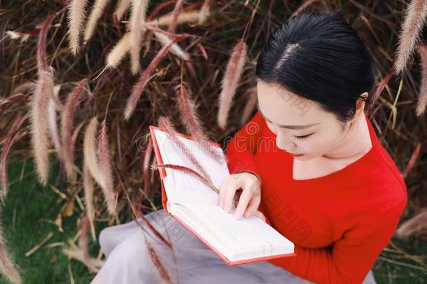 女孩阅读指已提到的人书.白肤金发碧眼女人美丽的年幼的女人和书Slovenia斯洛文尼亚