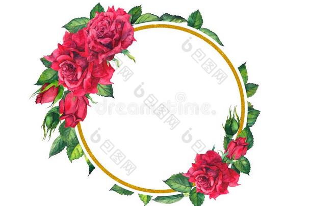 红色的玫瑰,金色的圆形的框架.水彩花的卡片和流动