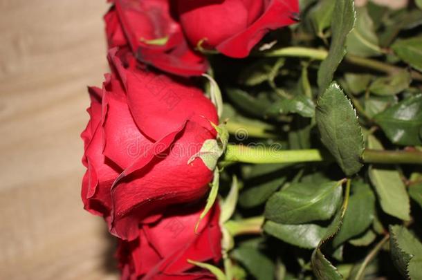 红色的玫瑰,红色的玫瑰花束,红色的玫瑰背景
