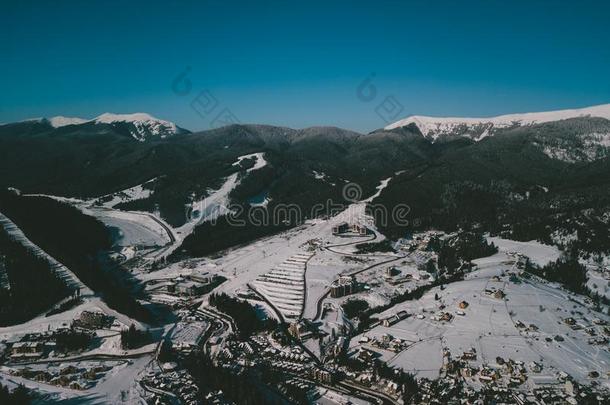 美丽的空气的雄蜂照片关于山公园采用寒冷的w采用ter一天