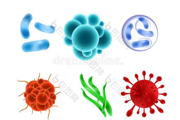 矢量说明放置关于现实的细菌不同的类型,