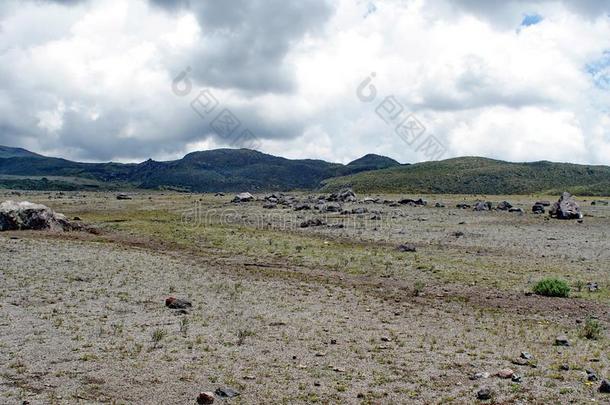 高的高度平原采用科多帕希火山国家的公园