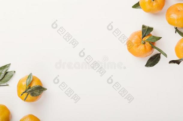 桔子甜<strong>的橘子</strong>和<strong>绿色的</strong>树叶向一白色<strong>的</strong>b一ckground