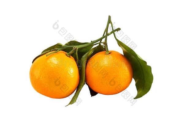 两个<strong>橘子</strong>隔离的向白色的
