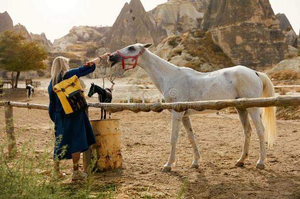 女人抚摸白色的马在农场,令人同情的他的鼻子
