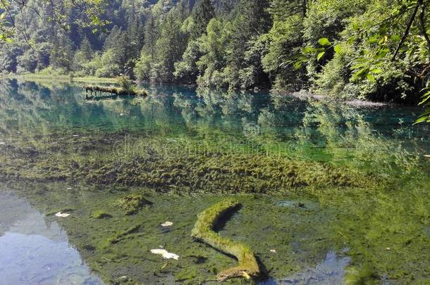 九寨沟风景优美的地点,四川,中国