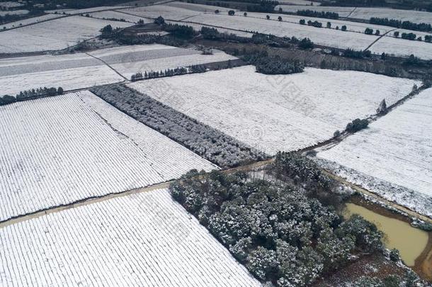 空气的摄影关于指已提到的人下雪的风景关于num.十一千希腊字母第12字茶水英语字母表的第7个字母