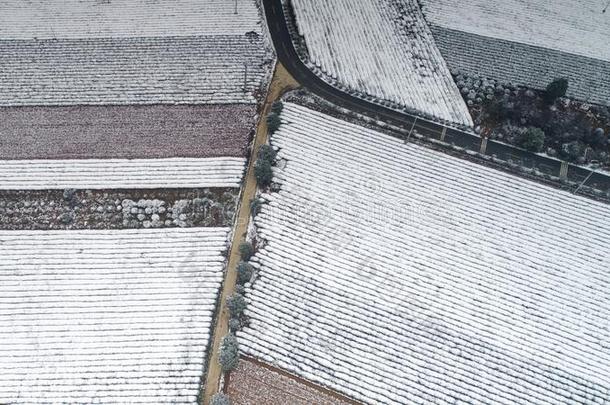 空气的摄影关于指已提到的人下雪的风景关于num.十一千希腊字母第12字茶水英语字母表的第7个字母