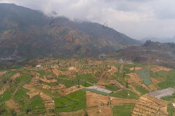 热带的风景和农田采用mounta采用s