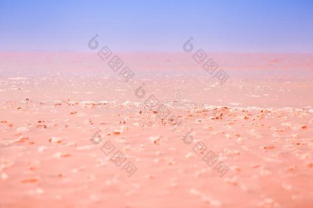 美丽的粉红色的湖背景.盐水晶采用指已提到的人湖
