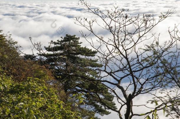 Yunhai,<strong>黄山风景</strong>优美的地区,中国