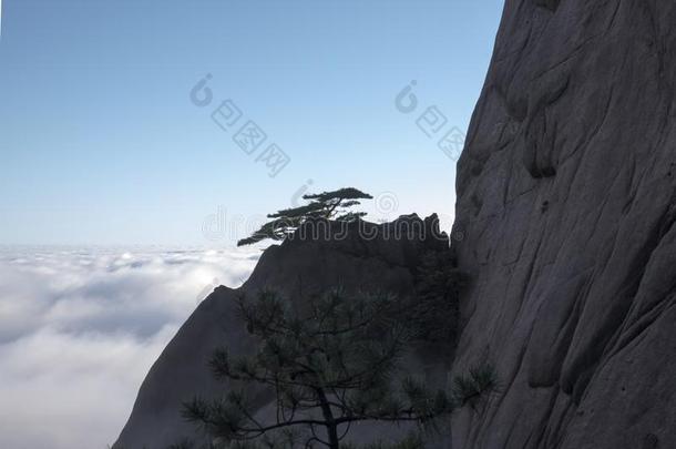 云海,黄山风景优美的地区,中国