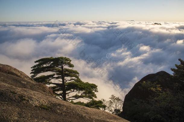 云海,黄山风景优美的地区,中国