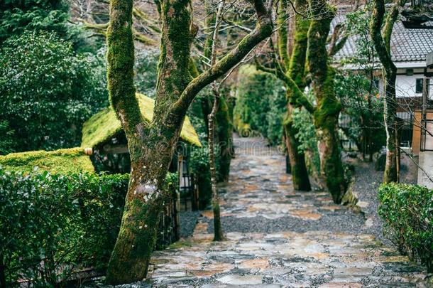 故障庙花园看法采用奥哈拉,京都,黑色亮漆