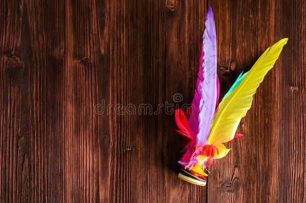 梭子反撞,富有色彩的羽毛中国人尖子脚有关运动的