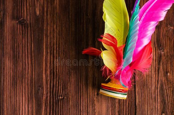 关-在上面梭子反撞,富有色彩的羽毛中国人尖子脚英文字母表的第19个字母