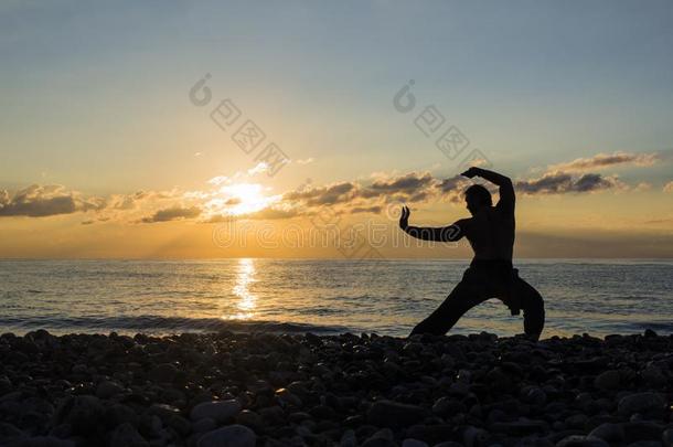 军事的文科男人轮廓向日落天向背景