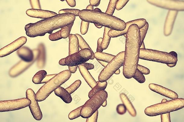 细菌柠檬酸杆菌,绿豆-消极的象大肠菌的细菌采用指已提到的人familiarization熟悉