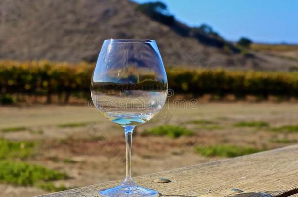 葡萄酒玻璃白色的葡萄酒葡萄酒国家美国加州