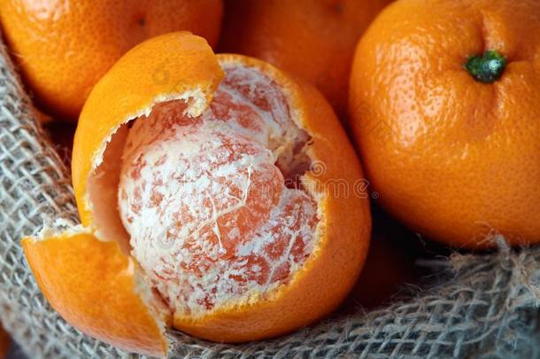普通话桔子柑橘属果树网织品