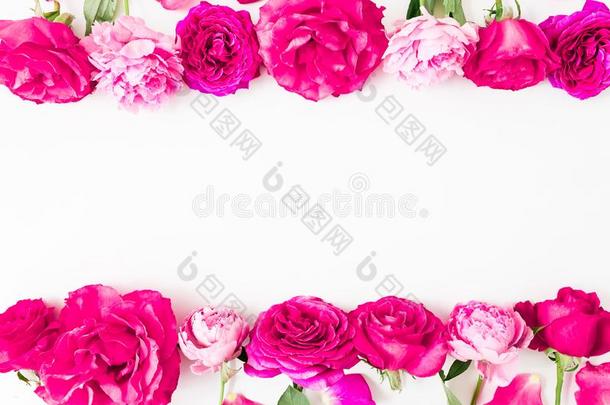 框架关于粉红色的玫瑰,<strong>花瓣</strong>和牡丹向白色的背景.<strong>荧光</strong>标记抗体
