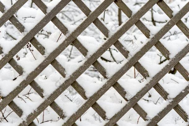 木制的格子框架使关于落叶松木板后的下雪