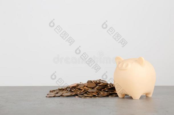 小猪银行和coinsurance联合保险向表反对白色的背景