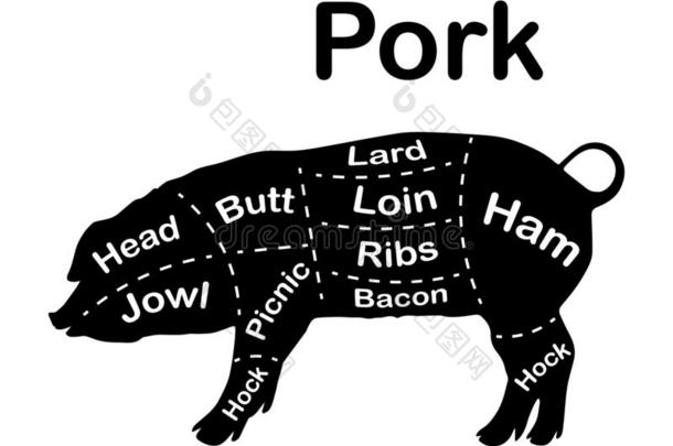 肉切-猪肉.图解为屠夫商店.密谋关于猪肉.美洲黑杜鹃
