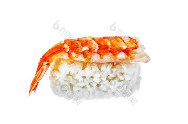 寿司辗使从稻和虾向白色的背景