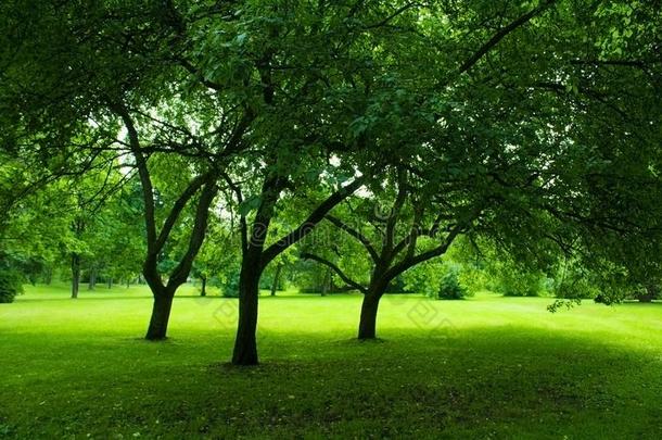 春季风景风景-美好采用自然,风景s和EnvirosphereCompany环球公司