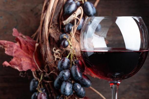 玻璃关于红色的葡萄酒和葡萄和干燥的<strong>藤树</strong>叶