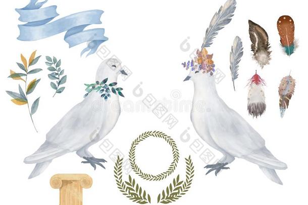 鸽子夹子艺术数字的绘画水彩鸟飞和平鸽英语字母表的第6个字母