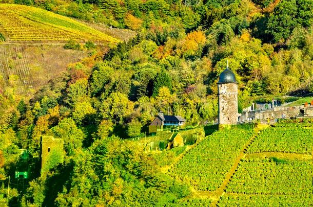 指已提到的人圆形的塔和葡萄园在zero-lengtlaunch采用g零距离发射指已提到的人法国摩泽尔河流域产白葡萄酒采用德国