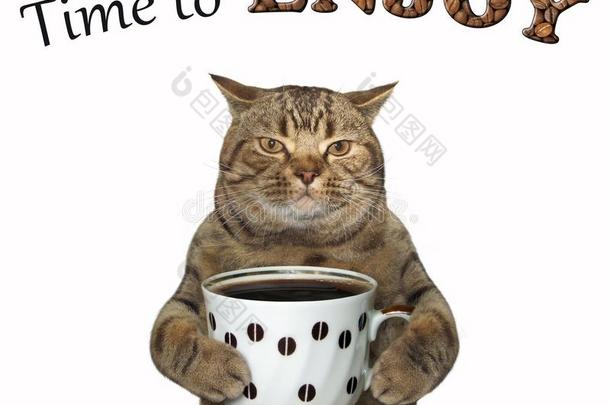 猫<strong>需求</strong>向喝咖啡豆