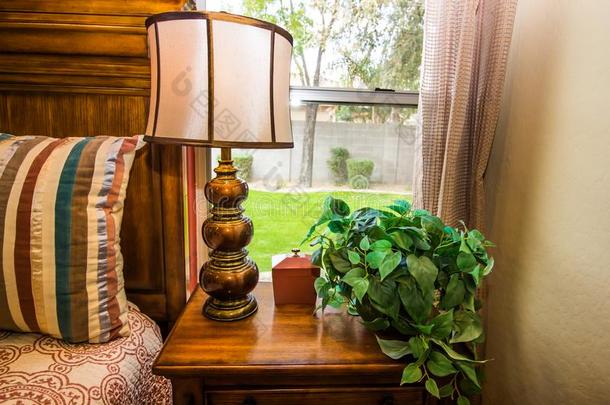 卧室灯和植物向木制的放在床头边的小桌