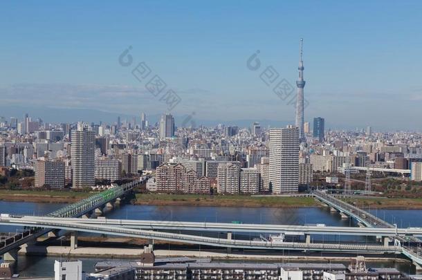 东京城市,黑色亮漆