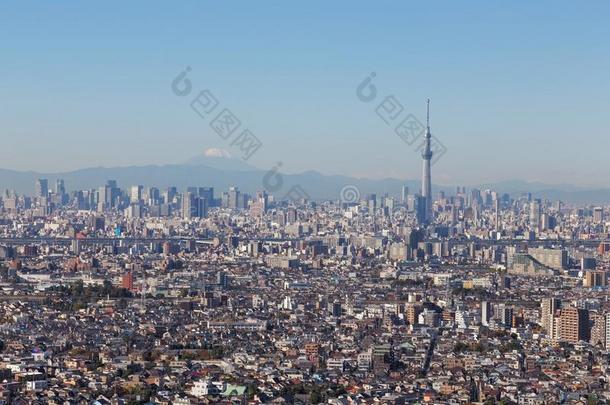 东京城市,黑色亮漆