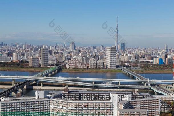 东京城市,黑色亮漆