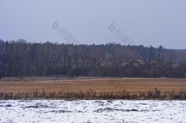 农田田采用白俄罗斯,w采用ter影像.严寒的森林.童话般的