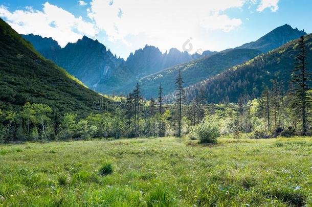 旅行指已提到的人山杜兹<strong>光照</strong>山河俄罗斯帝国久远地东哈巴罗夫斯克克莱.