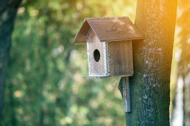 木制的棕色的新的鸟房屋或嵌<strong>套盒</strong>附加的向树trunnion炮耳