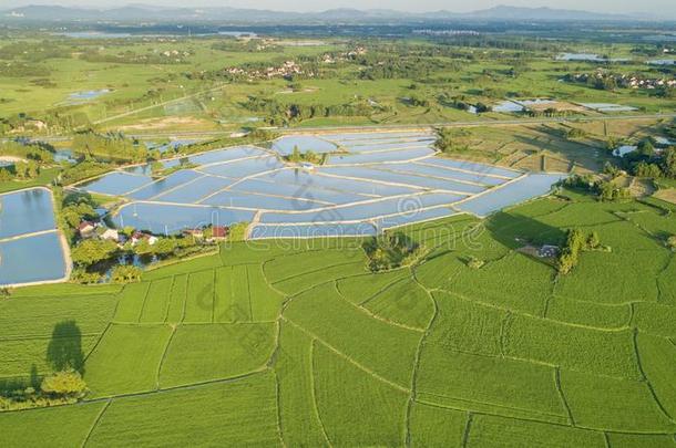 空气的摄影关于美丽的乡村采用仲夏采用安湖