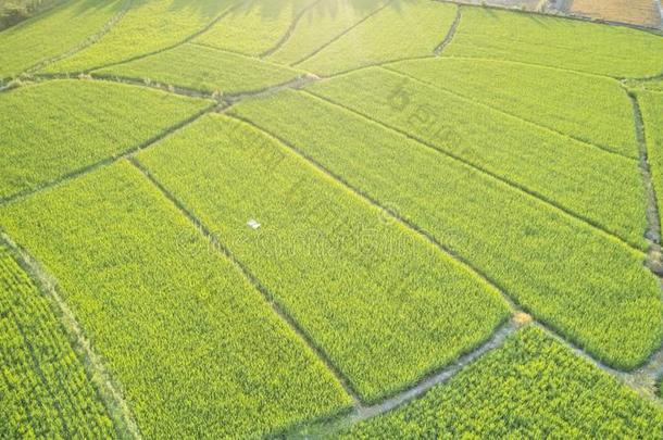 空气的摄影关于美丽的乡村采用仲夏采用安湖