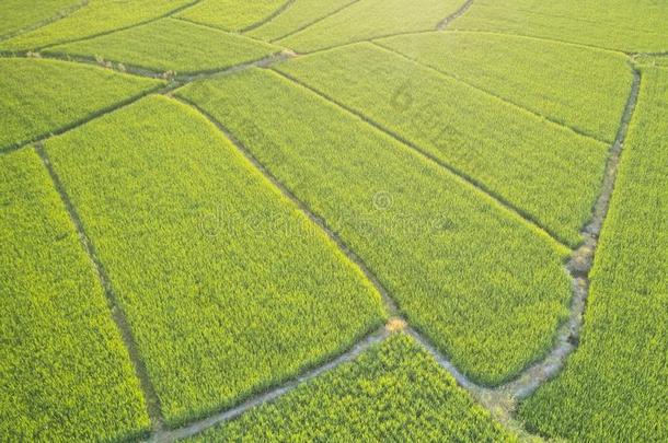 空气的摄影关于美丽的乡村采用仲夏采用安湖