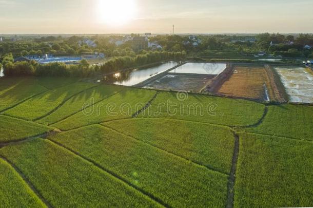 空气的摄影关于美丽的乡村采用仲夏采用安湖